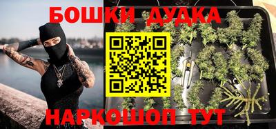 спиды Будённовск