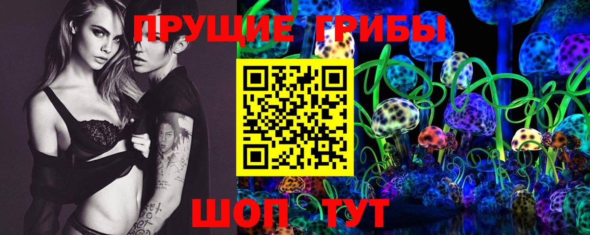 Псилоцибиновые грибы мицелий  Псилоцибиновые грибы MAGIC MUSHROOMS  Киреевск  Вход с VPN 